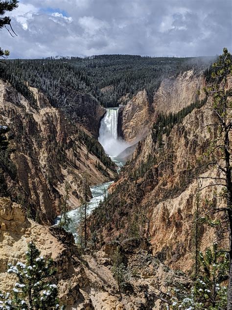 Lower Falls Yellowstone National Park 3024x4032 Oc Rearthporn