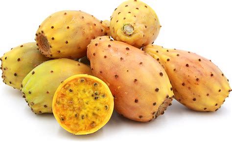 Yellow Cactus Pears Information Recipes And Facts