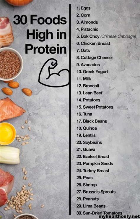Top 10 High Protein Foods You Can Eat Daily - My Health Only