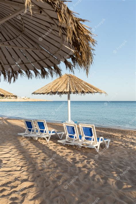 Premium Photo A Sun Lounger Under An Umbrella On Sea Beach