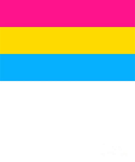 Pansexual Flag Print Lgbtq Pride Gift Idea Digital Art By Phoxy Design