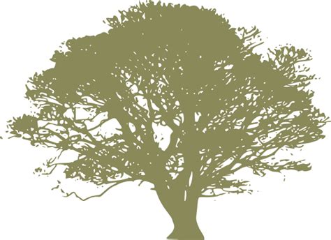 Oak Tree Clip Art At Vector Clip Art Online Royalty Free