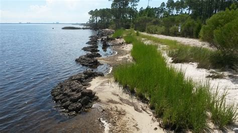 What Is A Living Shoreline Florida Living Shorelines
