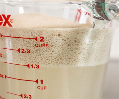 Proofing Your Yeast Instructables