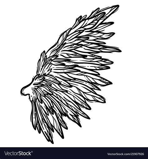 Line Art Of Angel Wings Hand Drawn Royalty Free Vector Image