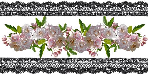 100 Free Lace Borders And Lace Images Pixabay