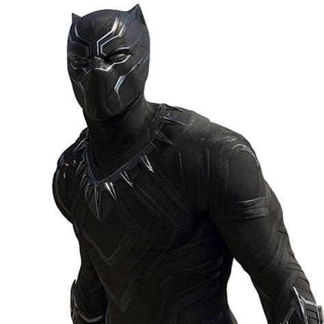Black Panther Png File Png All