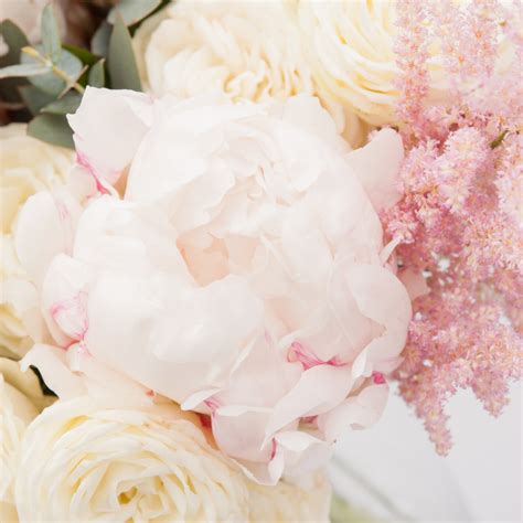 Cream Peach And Blush Pink Mixed Peony Flower Bouquet Love Peonies