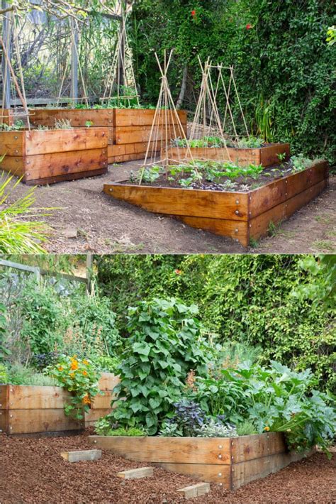That means if you click and buy, i may receive a small commission. Vegetable Garden Layout: 7 Best Design Secrets! - A Piece ...