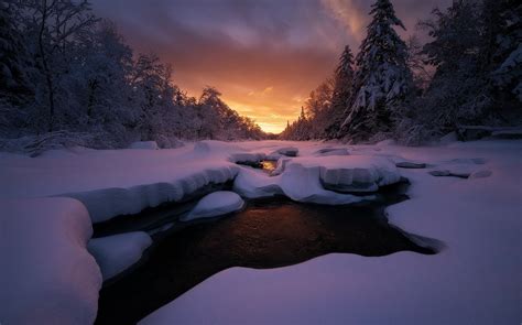 Nature Landscape Sunset Cold Winter Forest Sky Maine Frost