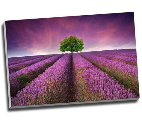 Purple Lavender Field Landscape Sunset Canvas Print Wall Art 30x20 A1