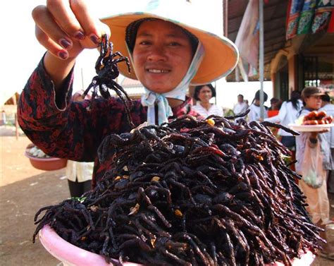 10 Strange Food Dishes From Around The World Finding Beyond