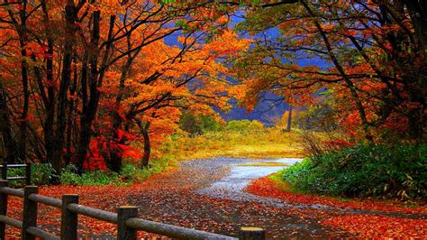 Autumn Wallpaper Widescreen ·① Download Free Amazing High Resolution Backgrounds For Desktop