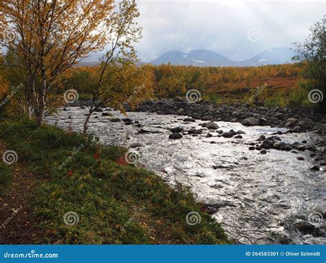 Landscape Picture Of A River In Abisko National Park The Swedish Part