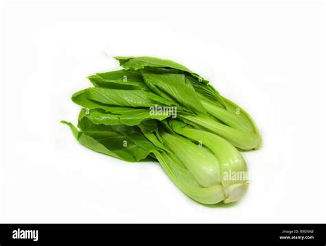Bok Choy Isolated Fresh Green Bok Choy Vegetable Or Chinese Cabbage
