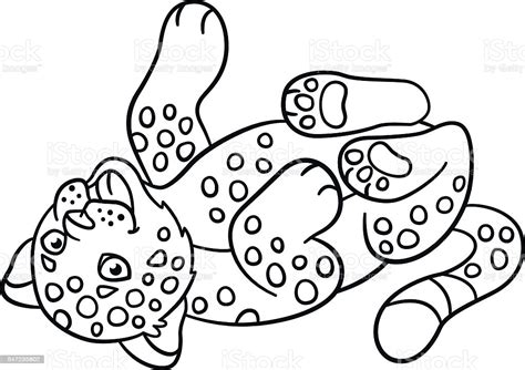 Free download and use them in in your design related work. Coloring Pages Little Cute Baby Jaguar Smiles Stock ...