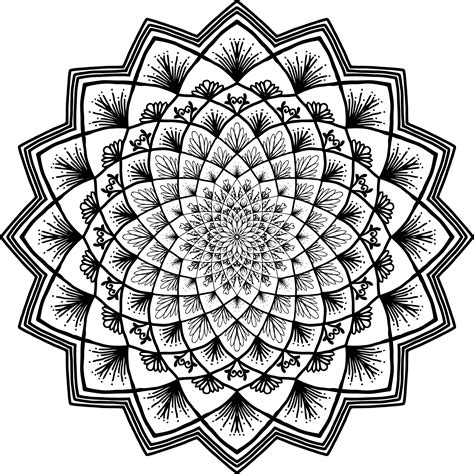 Adult Coloring Png Coloring Pages