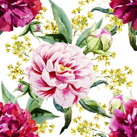 Peony Watercolor Drawn Seamless Pattern Vector Vector