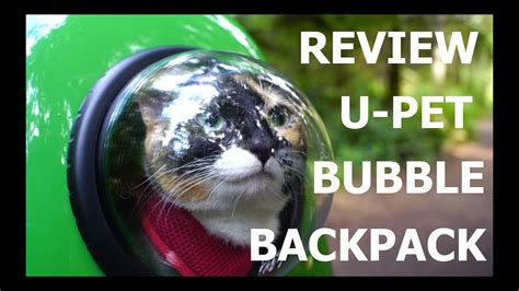 Multiple air holes and breathable mesh provide plenty of fresh air includes: Review UPET Bubble Window Backpack! - YouTube