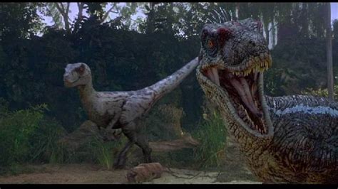 Image Deinonychus Park Pedia Jurassic Park Dinosaurs Stephen Spielberg