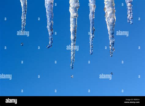 Icicles Melting And Drops Blue Sky As Background Stock Photo Alamy