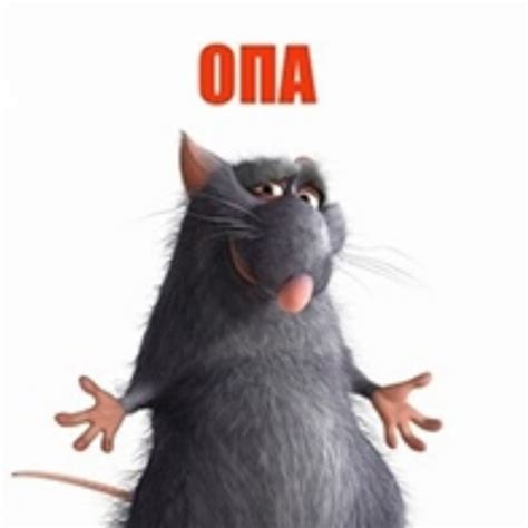 Создать мем крыса крыса из рататуя мем опа твоя мать мем рататуй оригинал Картинки Meme