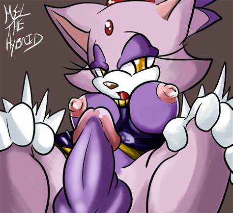 35494 Amy Rose Blaze The Cat Cream The Rabbit Sonic Team Vanilla The