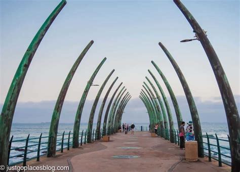Fun Things To Do In Durban South Africa For First Time Visitors