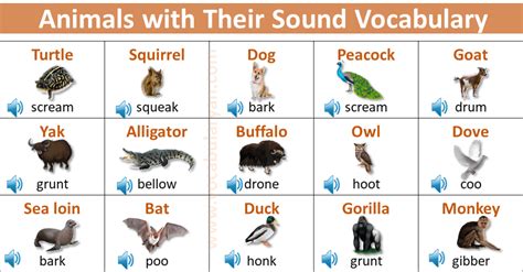 A To Z Animal Sounds List In English Vocabularyan