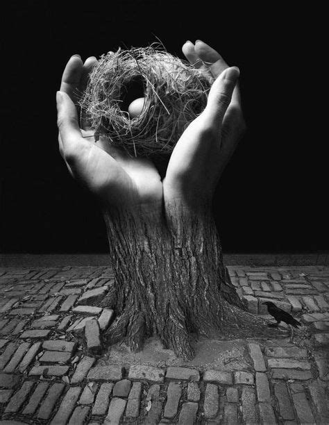 Hands Holding A Birds Nest Coming Out Of A Tree Jerry Uelsmann B