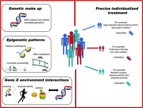 Precision Medicine And Individualized Treatment In Obesity Download Scientific Diagram