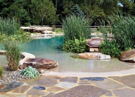How To Build Your Own Natural Swimming Pool