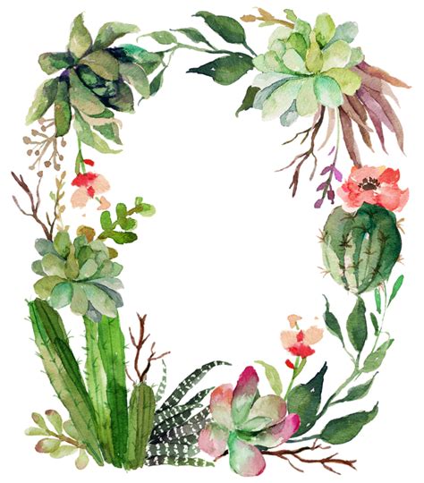 Cactus Borders And Frames