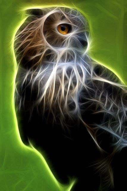 Pin By Lori Temple On Fractals With Images Fractal Art Fractals Owl