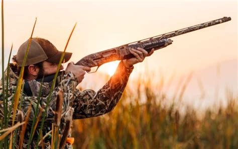 The 8 Best Duck Hunting Shotguns Of 2023 November Tested
