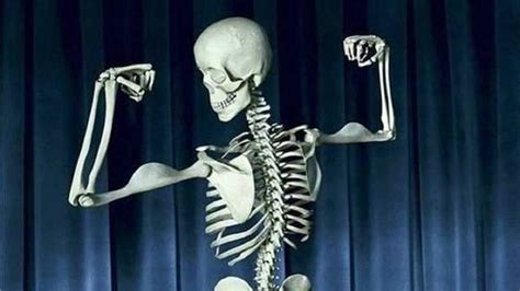 Consejos Para Proteger Los Huesos De Por Vida ¡logra Un Esqueleto Sano