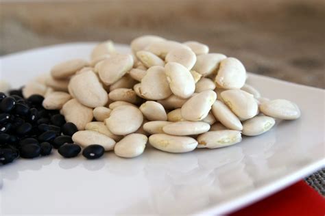 Are Lima Beans Good For Diabetics —