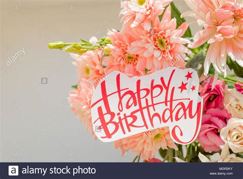 We did not find results for: soft pink chrysanthemums and happy birthday poster ...