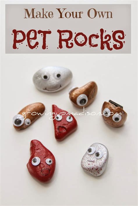 Make Your Own Pet Rocks Craft Annmarie John