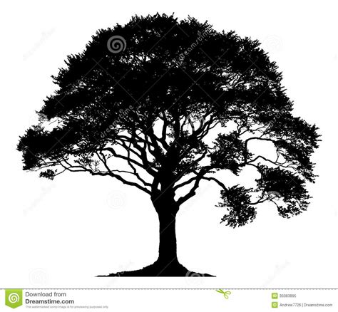 Oak Tree Silhouette Vector Free At Collection Of Oak
