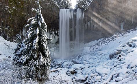 Cold Spring Creek To Tamanawas Falls Feb 20 Oregon Hikers
