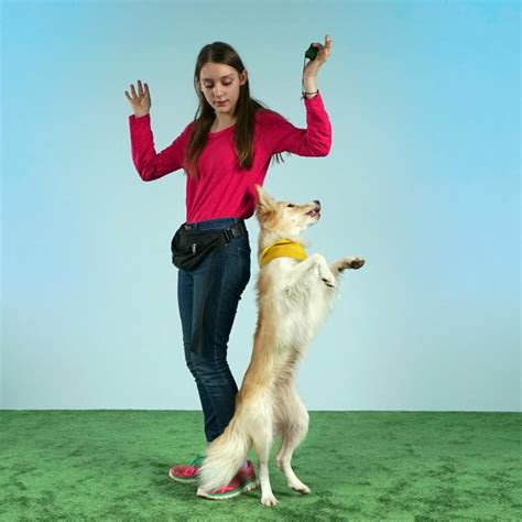 A Famous Dog Trainer