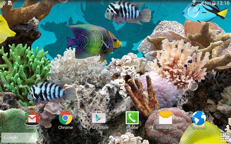 Water wallpaper wallpaper fish fish fish water 3d abstract abstract creative graphics beach blue animals birds. Coral Fish 3D Live Wallpaper - Android Apps on Google Play