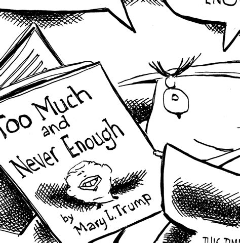 opinion mary l trump s book illustrated by donald j trump the washington post