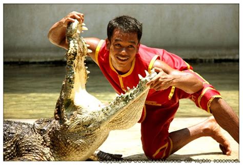 โรงพยาบาลสมุทรปราการ 71 ถนน จักกะพาก ตำบลปากน้ำ อำเภอเมือง. ฟาร์มจระเข้สมุทรปราการ