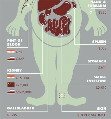The More You Know The Price Of Body Parts On The Black Market