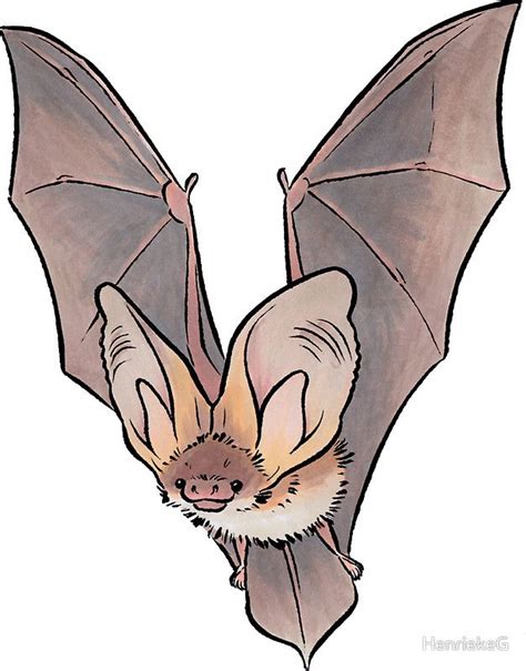 Grey Long Eared Bat Sticker By Henriekeg In 2021 Bat Art Grey Long
