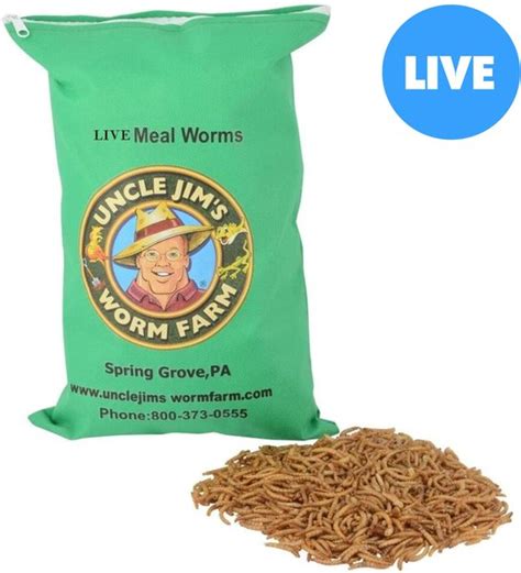 Uncle Jims Worm Farm Live Mealworms Reptile And Fish Food 3000 Count