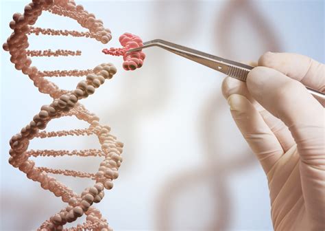 Reino Unido Autorizan La Modificación Genética De Embriones Humanos