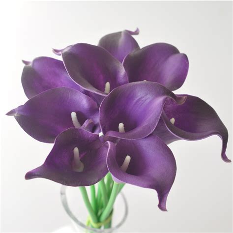 Pcs Royal Purple Picasso Calla Liliesreal Touch Calla Lily Etsy